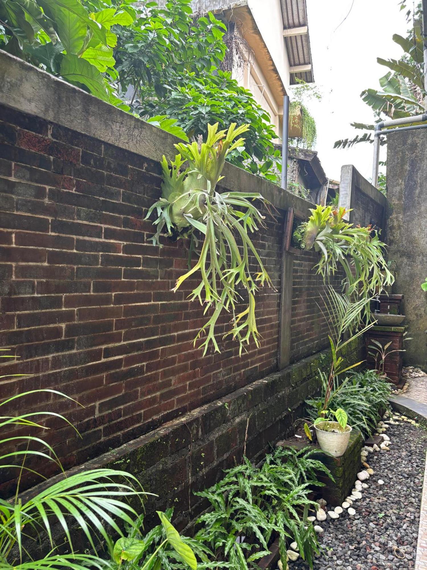 Adi Jaya Cottages Ubud Suites By Eps - Chse Certified Luaran gambar